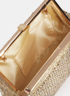 Crystal Embellished Clutch