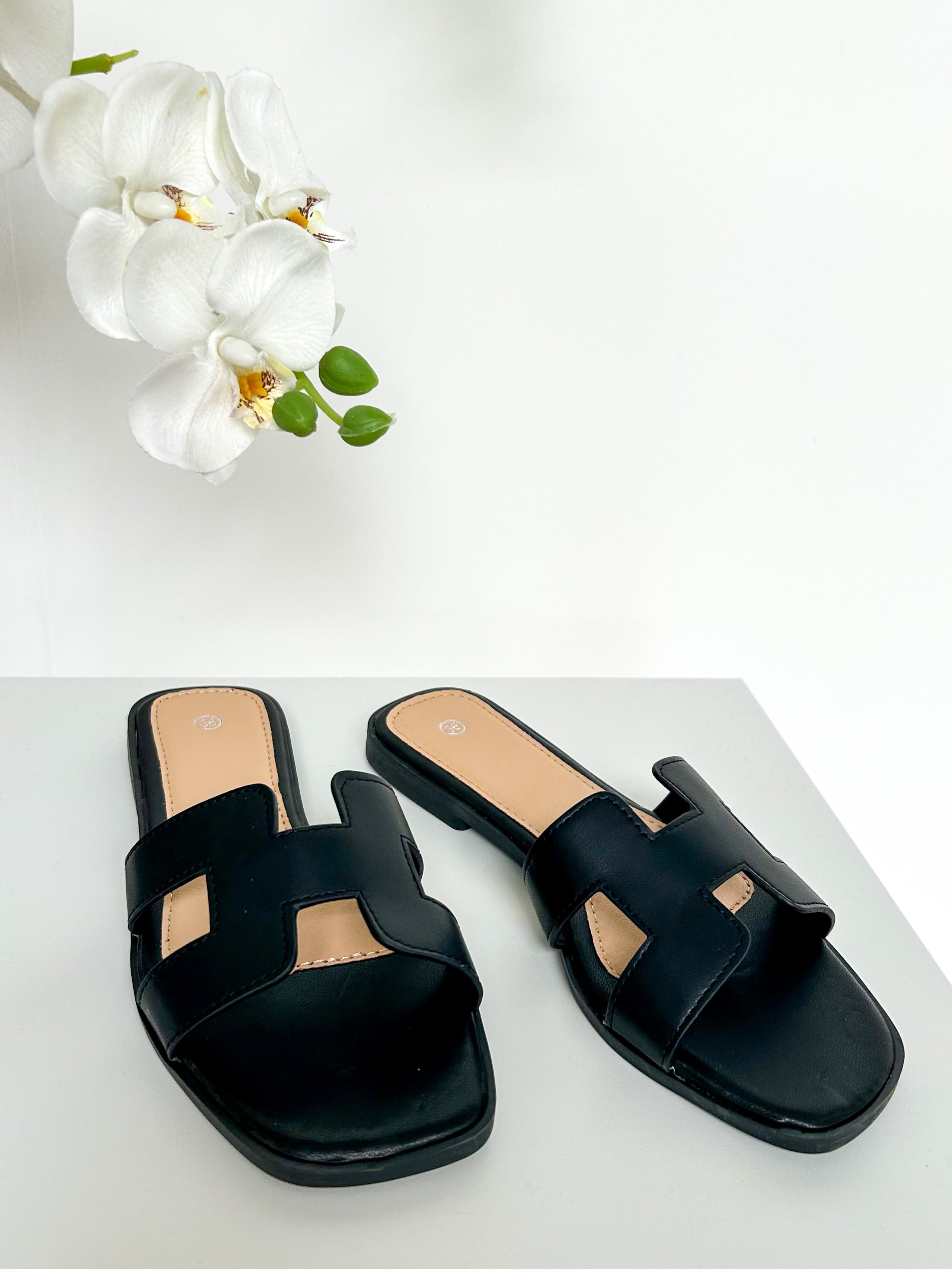 Nicolas Sliders (22 Colours)