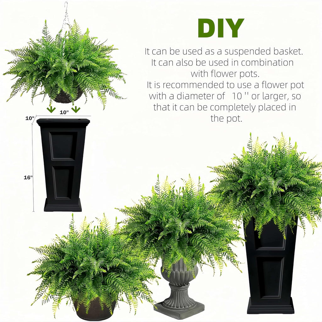 Lush Boston Fern Hanging Basket