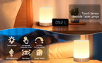 Rest Collection Night Light