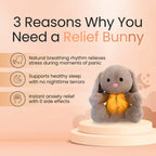 Anti Stress Sleep Aid Teddy